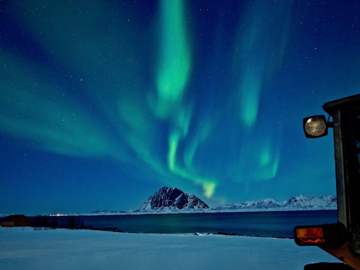 Elstad Farm Lofoten Bostad 外观 照片