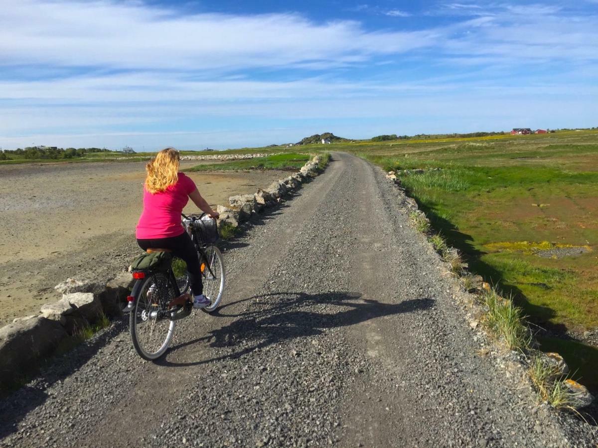 Elstad Farm Lofoten Bostad 外观 照片